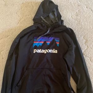 Men’s Patagonia Hoodie (Size M)
